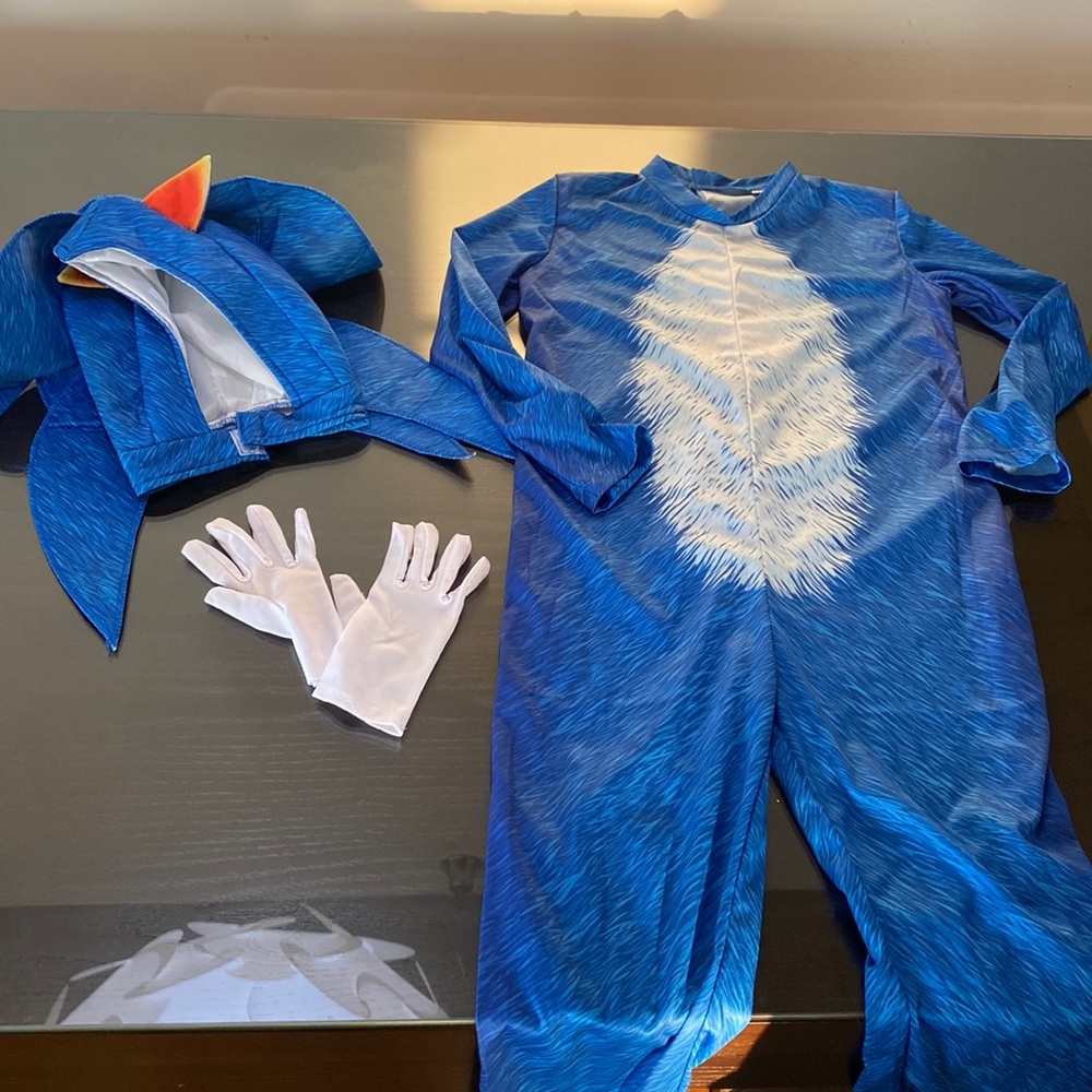 Sonic The Hedgehog Costume/Dress Up - Picture 2 of 12